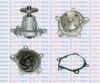 AQUAPLUS 85-5790 Water Pump